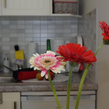 Ferienapartments Urlaub und Meer Ostseebad Kühlungsborn Kamer foto