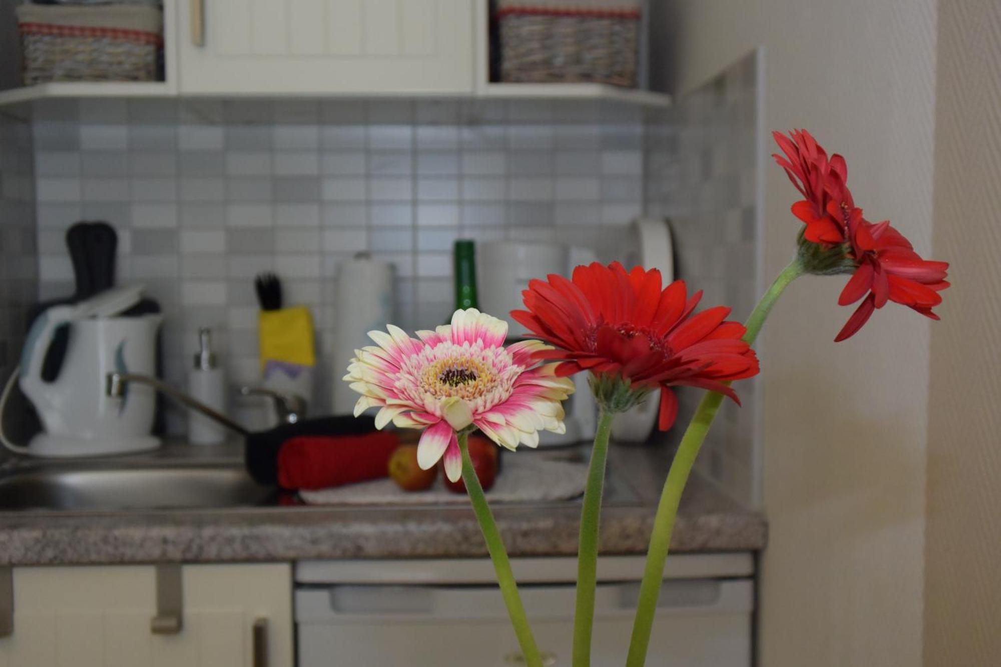 Ferienapartments Urlaub und Meer Ostseebad Kühlungsborn Kamer foto